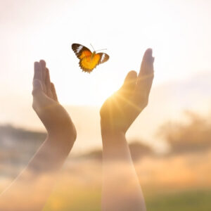 Release Renew Rise